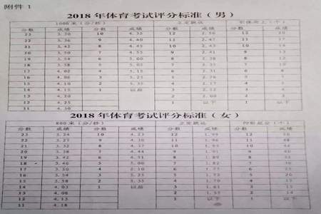 2026年中考体育项目有什么