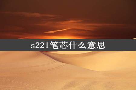 s221笔芯什么意思