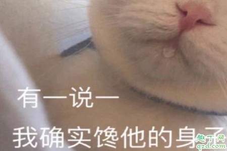 饭圈里说喂奶是什么意思