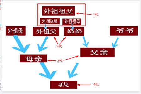 表兄弟的奶奶怎么称呼