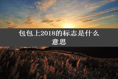 包包上2018的标志是什么意思