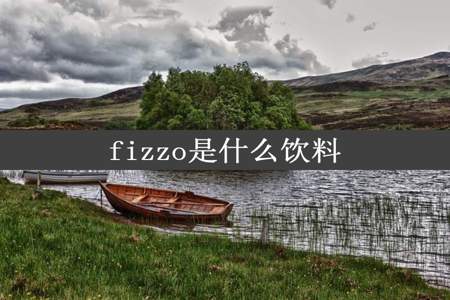 fizzo是什么饮料