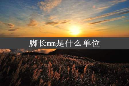 脚长mm是什么单位