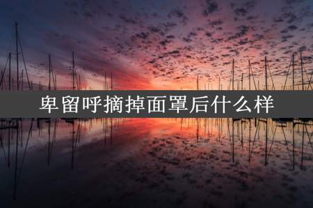 卑留呼摘掉面罩后什么样