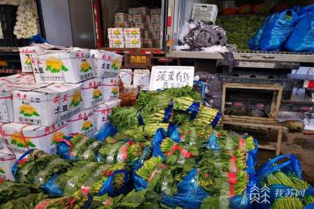 怎么把蔬菜卖到众彩批发市场
