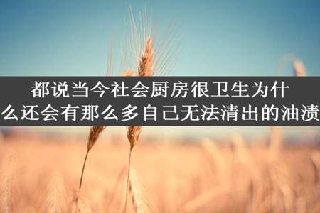 都说当今社会厨房很卫生为什么还会有那么多自己无法清出的油渍