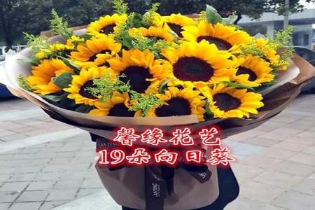 父亲节送什么鲜花表示身体健康