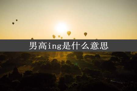 男高ing是什么意思