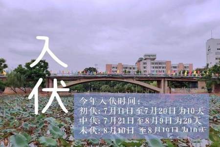 入伏和中伏是什么意思