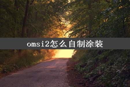 omsi2怎么自制涂装