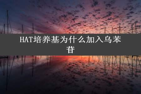 HAT培养基为什么加入乌苯苷