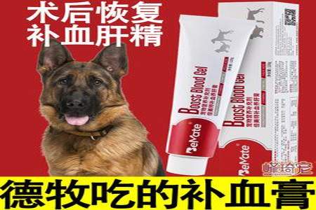 马犬太馋了怎么办