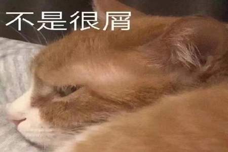 被渣了怎么回击