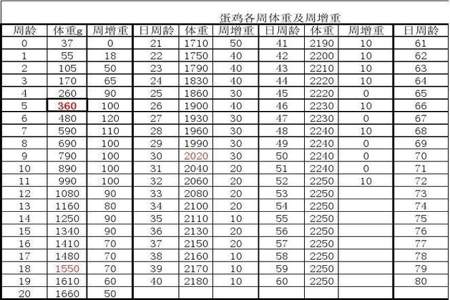 100-78怎么教小朋友算