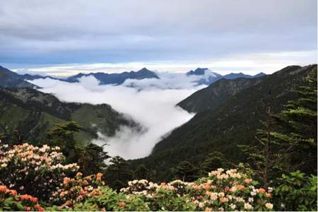 田姐旅馆在什么地方