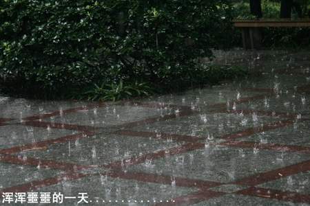 雨天屋檐偶遇不能说的秘密什么意思