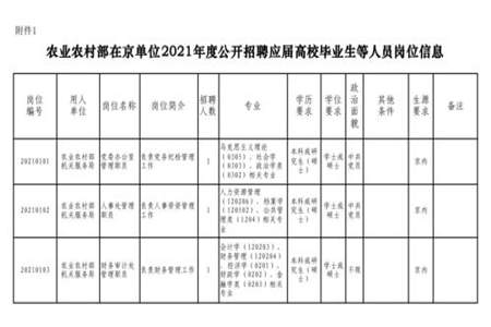 本科能应聘什么样的公职岗位