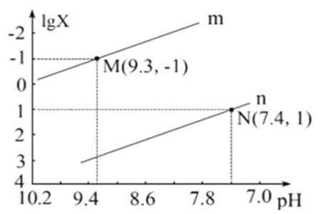 10=lgx为什么x等于100