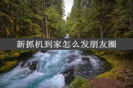 新抓机到家怎么发朋友圈