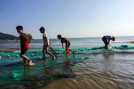 海燕宝宝什么意思