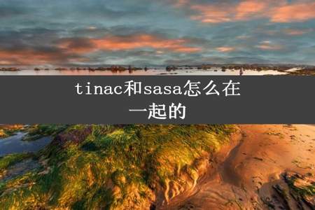 tinac和sasa怎么在一起的