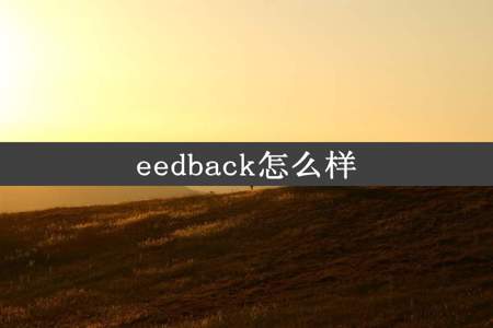 eedback怎么样