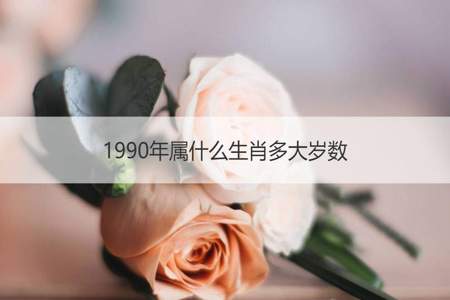 82年1月17出生的人属什么的