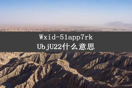 Wxid-51app7rkUbjU22什么意思