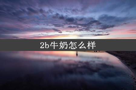 2b牛奶怎么样