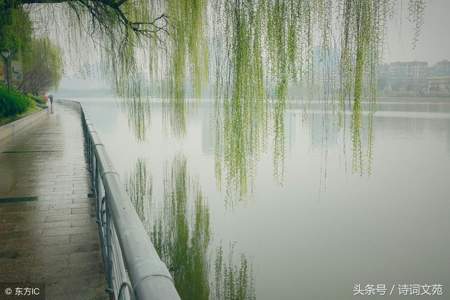 什么杨柳填空四字