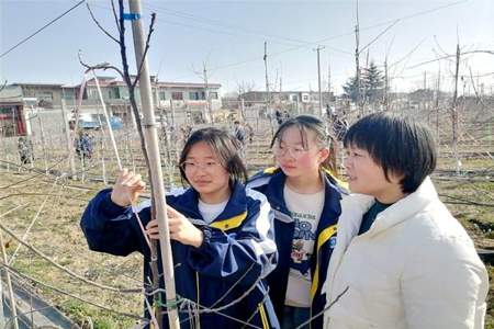 中专种植专业怎么样