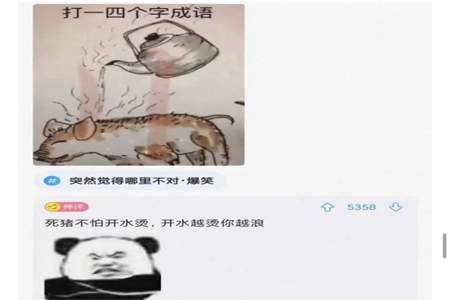 使不得下一句该怎么回