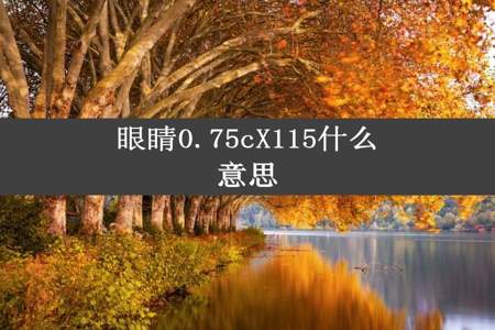 眼睛0.75cX115什么意思