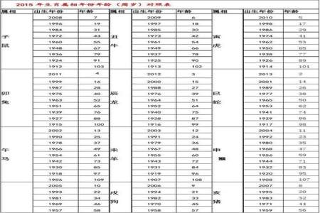 96年为什么虚岁是28