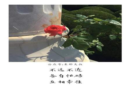 什么是志同道合的三观