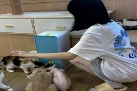 猫控女生怎么聊