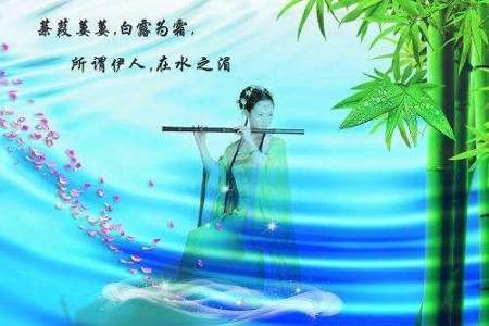 在水一方想表达什么