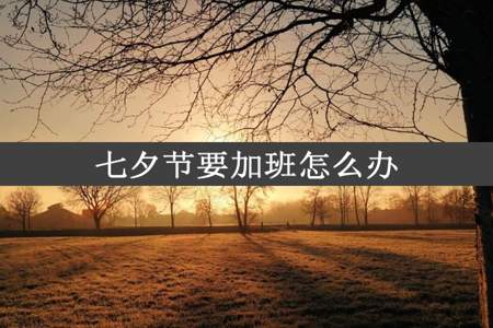 七夕节要加班怎么办