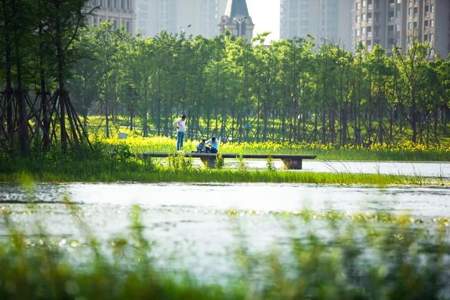 鱼尾洲湿地公园怎么停车