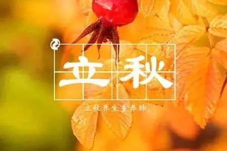 领导发立秋祝福怎么回