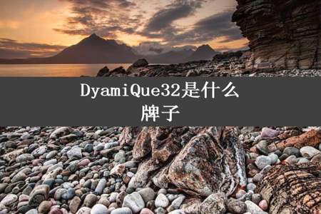 DyamiQue32是什么牌子