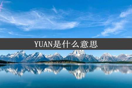 YUAN是什么意思