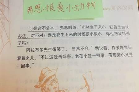 夏洛的网第六章主要讲了什么