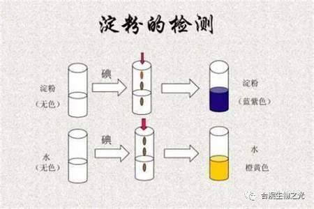 双缩尿试剂和蒸馏水反应生成什么颜色