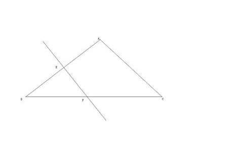 一条线平分一个三角形是什么意思