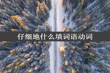 仔细地什么填词语动词