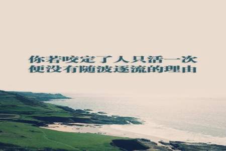 我可不是随波逐流的平庸之人什么意思