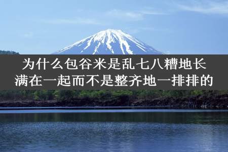 为什么包谷米是乱七八糟地长满在一起而不是整齐地一排排的