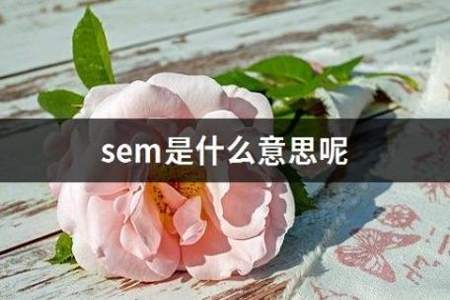 sem是什么意思