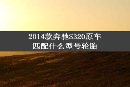 2014款奔驰S320原车匹配什么型号轮胎